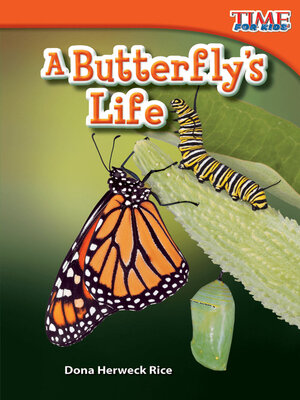 cover image of A Butterfly's Life